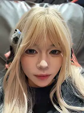 MeimoDog Show Webcam