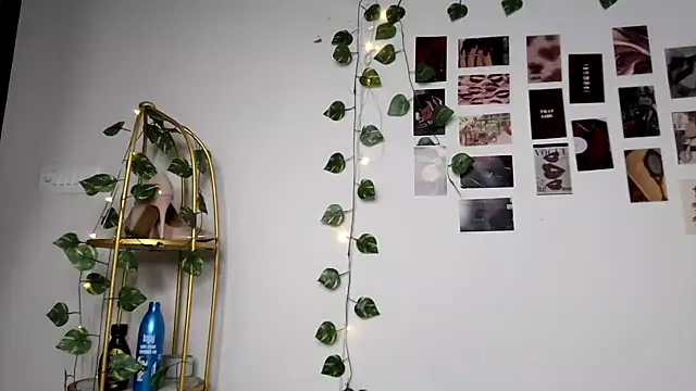Dasydoll – Live XXX-chat