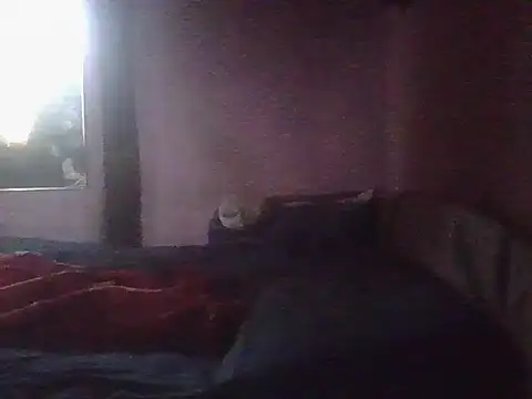 kikodaf1 – Naživo XXX chat