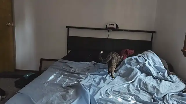 Živý XXX chat Opondestre00420