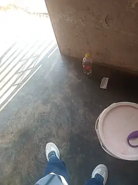 WiseDi Pertunjukan Webcam