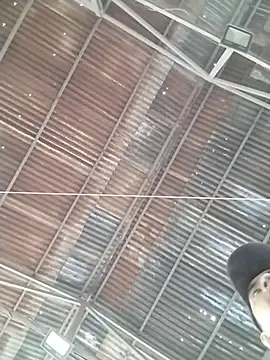 carelomio Live XXX-chat