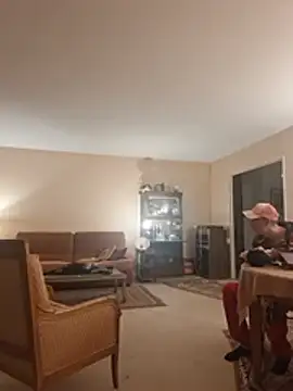 Chnrt webcam show