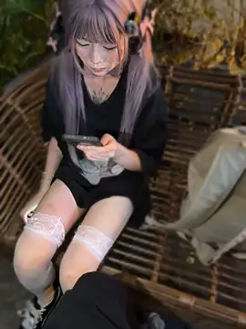 MeimoDog 网络视讯表演