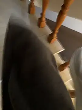 Pol8888 – Naživo XXX chat