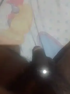 Princealmorocco Webcam show