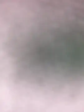 Zoey__08 라이브 XXX 채팅