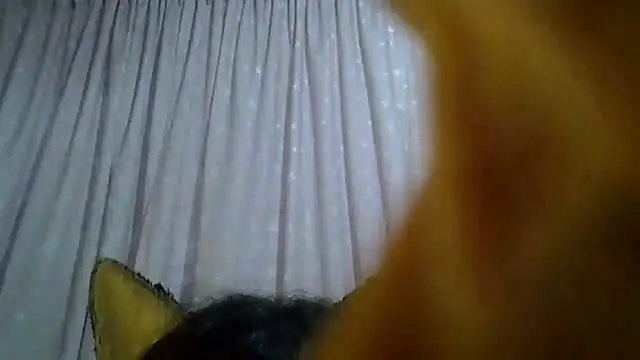 Show de webcam de SkinnyKitten