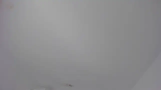 Alaia_Ferrer22's Live Chat Room