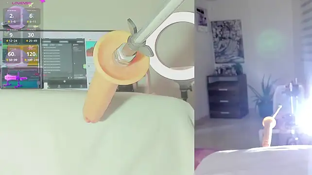 دردشة sofi_velez الجنسية المباشرة