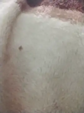 suck_me_please_231 Live XXX-chat