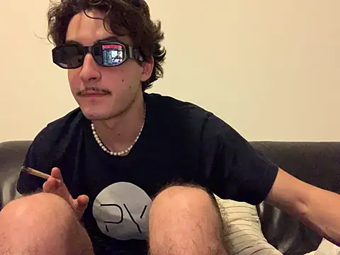 Arthurcamforのウェブカメラショー