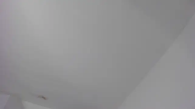Alaia_Ferrer22's Live Chat Room