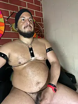 Chat XXX Live the_master_foal_