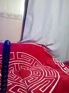 LUNY2030n Webbikameraesitys
