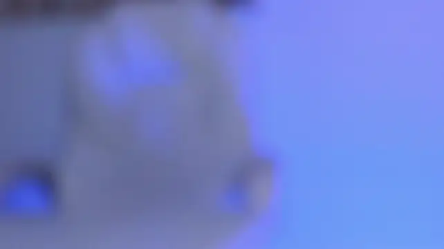 Živý XXX chat veronicafalcon