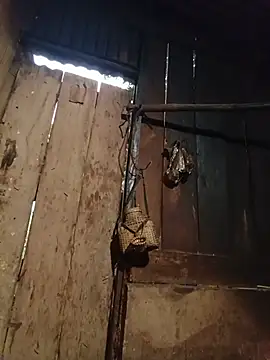 Živý XXX chat Jinli_01