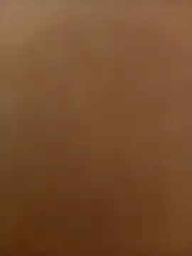 Nicol_model Webcam show