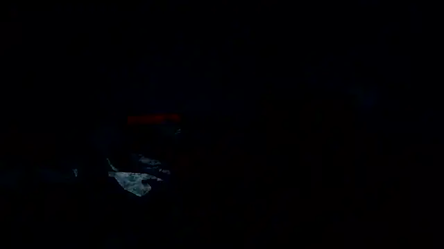 pakillobcnのウェブカメラショー