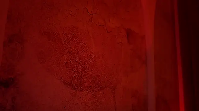Chat +18 de AlissonNova ao vivo
