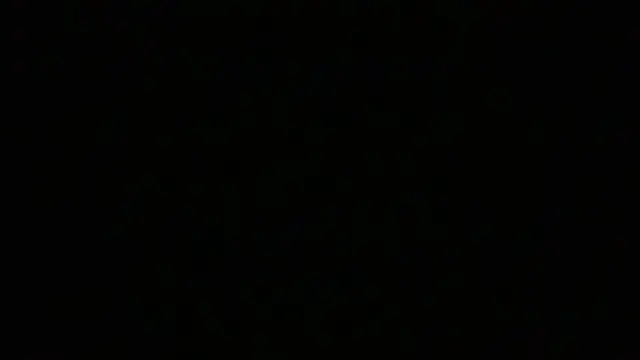 NuttyProfesirのウェブカメラショー