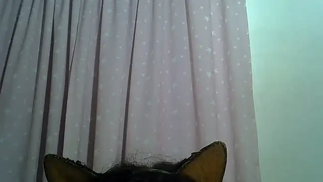 SkinnyKitten 웹캠 쇼