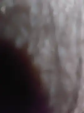 Show Webcam de Mohammed875