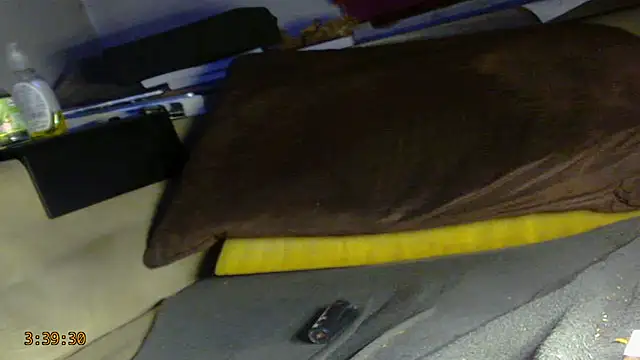 mike30nbg live XXX chat