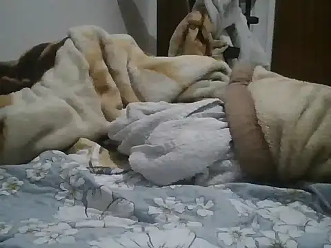 Hamzahkのウェブカメラショー