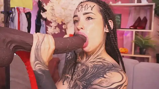 צ'אט XXX בשידור חי של EvaCanton