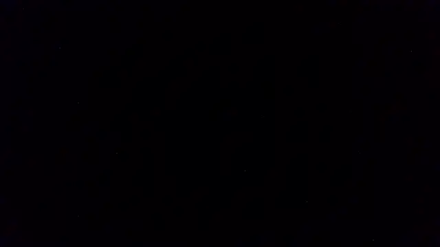 DaddyXLust Webcam-Show