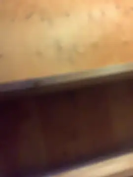 Ldnick69 라이브 XXX 채팅