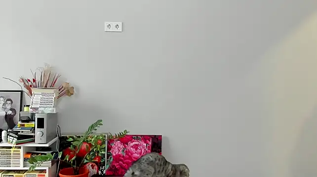 Chat XXX en directo de ailey_chao