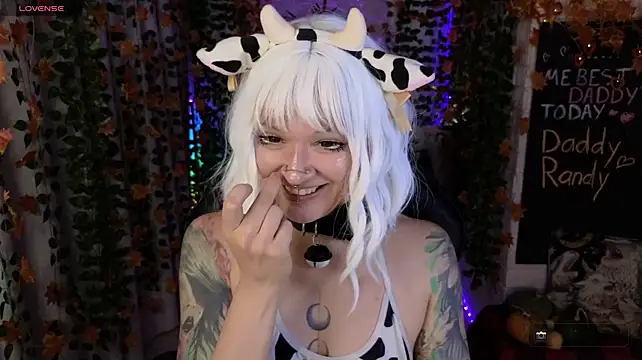 Mee-Meow's Live XXX Chat