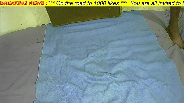 BigBrainZAR Live XXX-chat