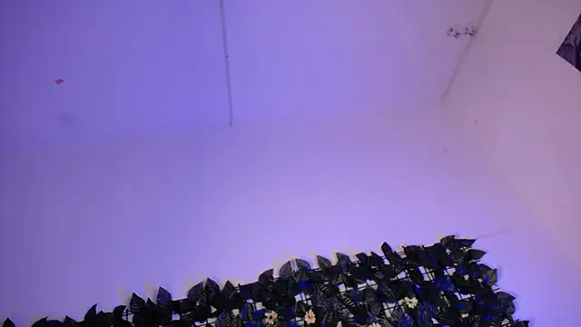 ladymooncs 라이브 XXX 채팅