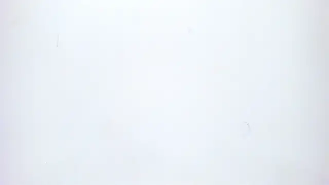 lussyevans24 라이브 XXX 채팅
