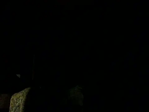 PierPesaroX Show in webcam