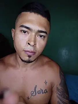 Show de webcam de Royer
