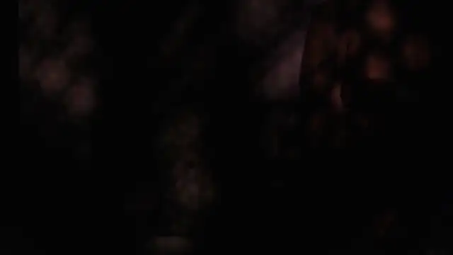 felipecams XXX ча т на живо