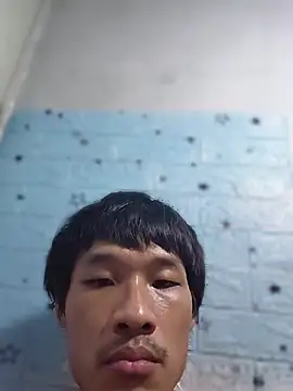 Teamnoin Live XXX chat