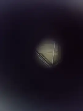 mariusSingur Show Webcam