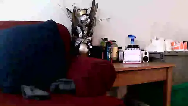 Theashthatwill's Live XXX Chat