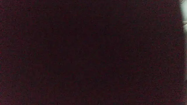 mshawn929n Webbikameraesitys