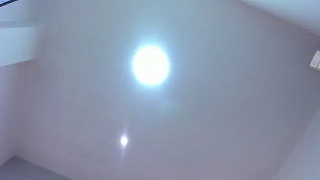 Chatroom XXX en direct de Genesis_blaake