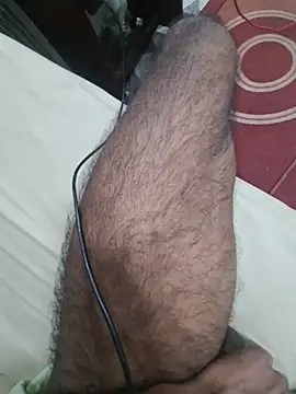 Desi_Boy_ForYou Pertunjukan Webcam