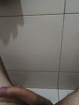 v4lmas09 – webcam-show
