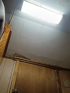 Lildick1100 লাইভ XXX চ্যাট