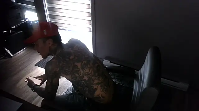 Inkeeddd93n Webbikameraesitys