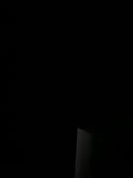 BestFamilySEX – Kamerová šou